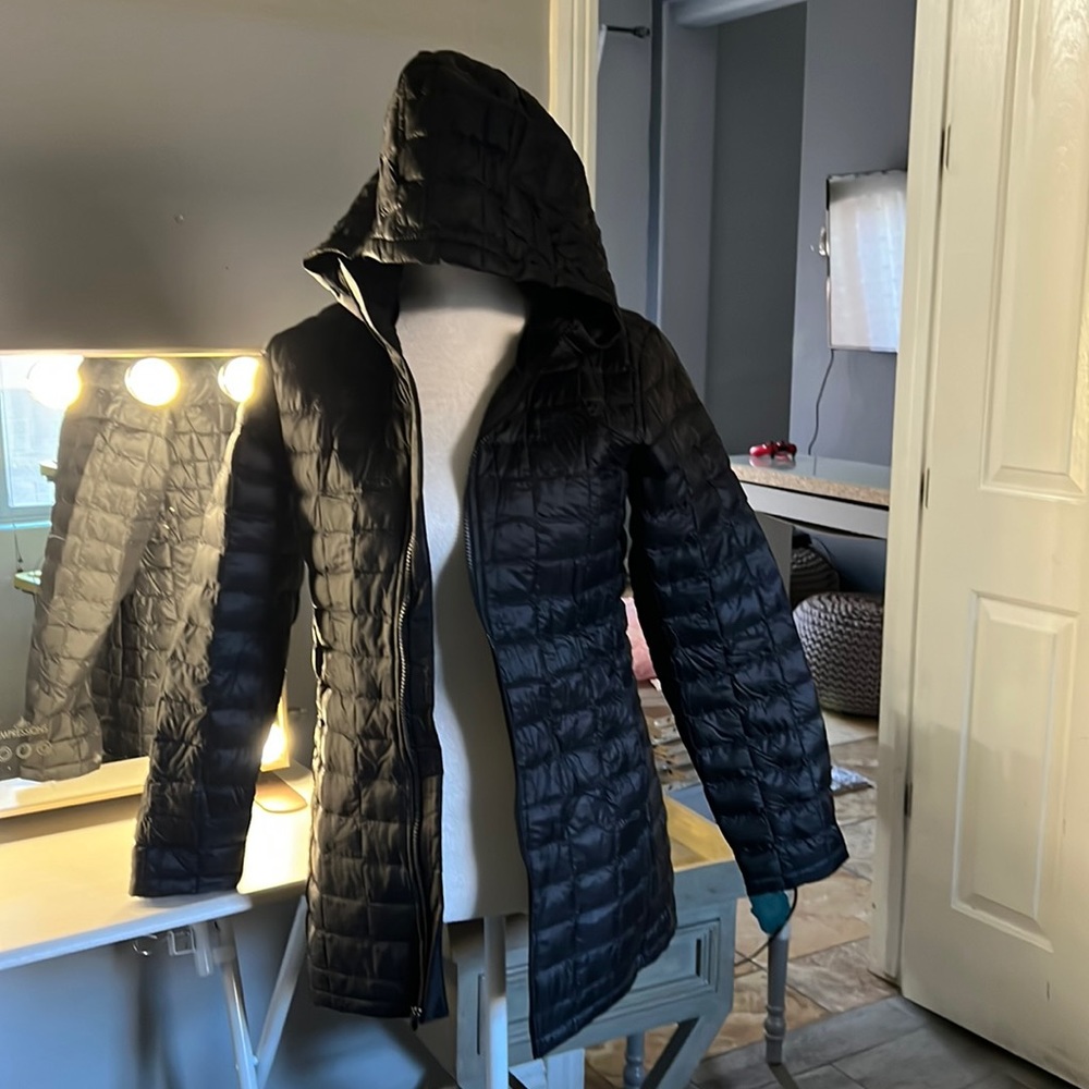 The north face jacket